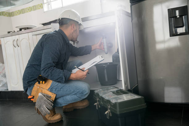 Best 24-Hour Plumber Near Me  in Albion, NE