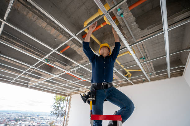 Best Emergency Plumbing Repair  in Albion, NE