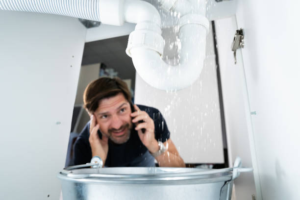 Best Clogged Drain Plumber  in Albion, NE
