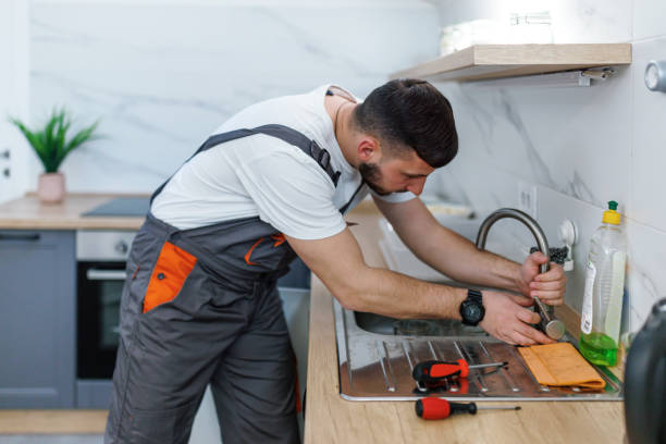 Best Emergency Plumber  in Albion, NE