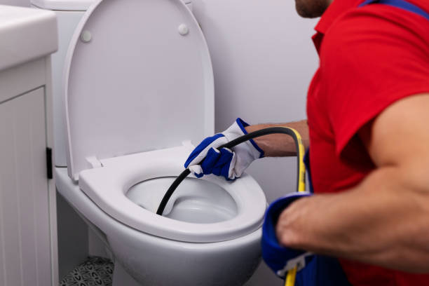 Best Affordable Plumbing Services  in Albion, NE