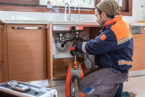 Best Local Plumber Services  in Albion, NE