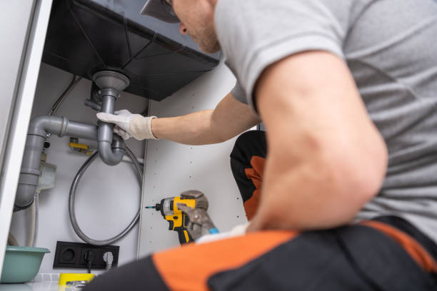 Best Same-Day Plumbing Service  in Albion, NE